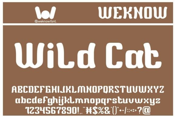 Wild Cat: A Retro Display Typeface with Modern Appeal